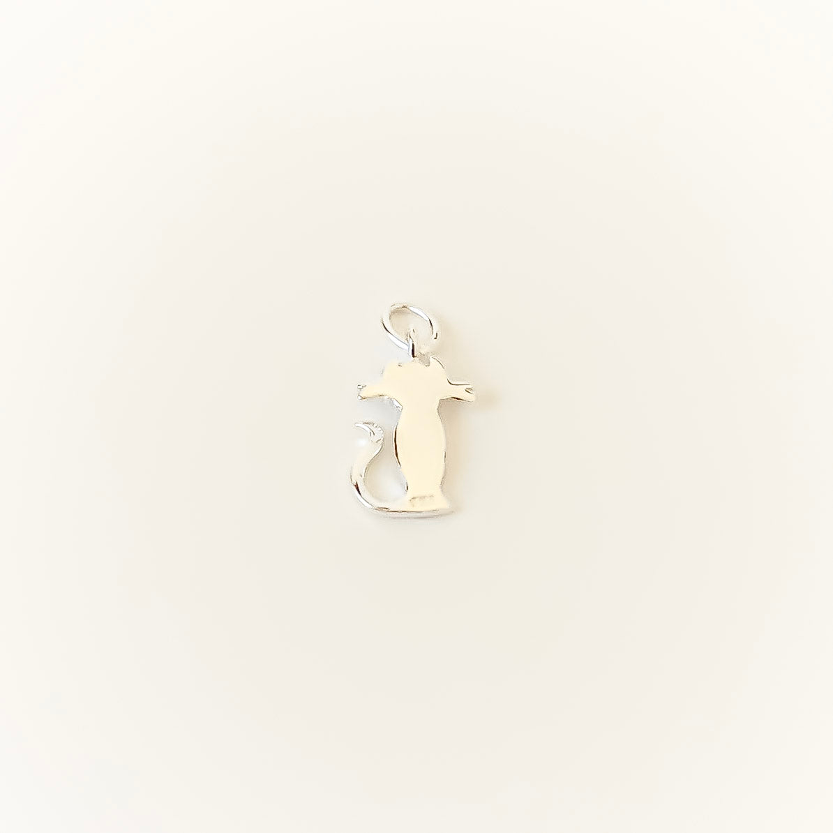 The Cat Charm lifestyle - sterling silver charm OJA Silver