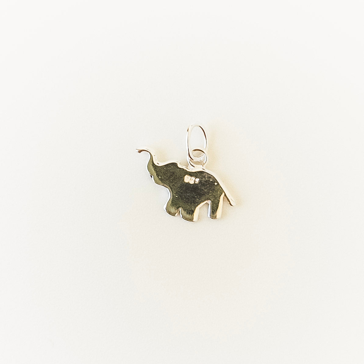 Silver charm on a white background