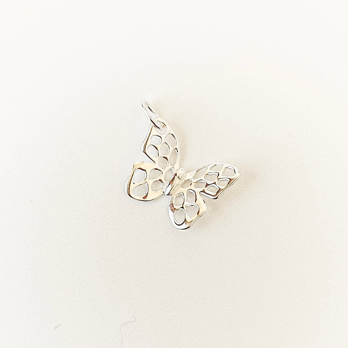 Silver butterfly-shaped earring on a light beige background